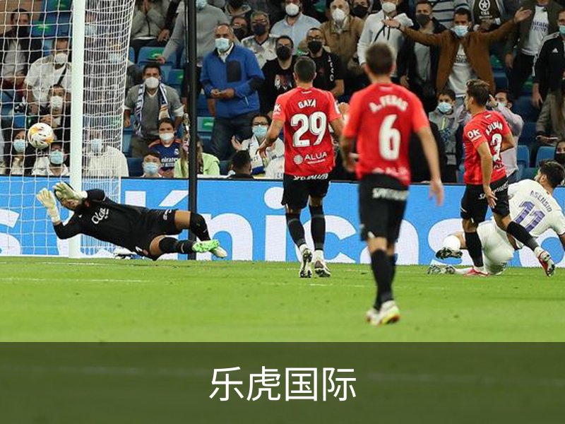 乐虎国际介绍